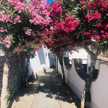Apartamento La Campanella *